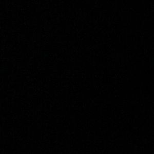 Meet your Posher, Jaylen